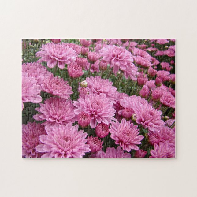 A Sea of Rosa Chrysanthemums #2 Pussel (Horisontell)