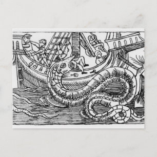 A Sea Serpent Vykort