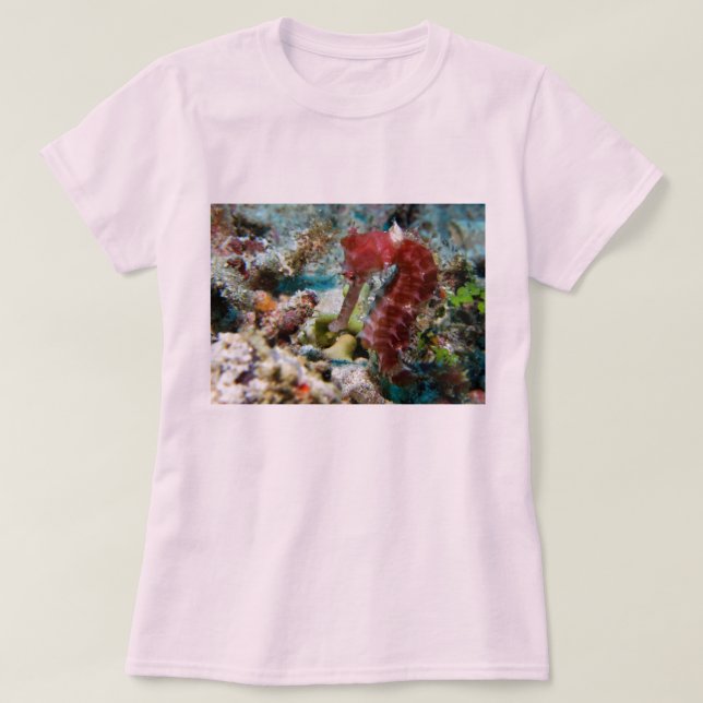 A Seahorse's Garden T Shirt (Design framsida)
