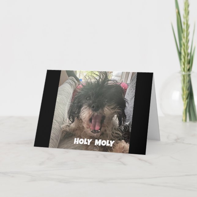 A SERIÖS HUND SÄGER "LYCKLIG 40:e BIRTHDAY" Kort (Framsida)