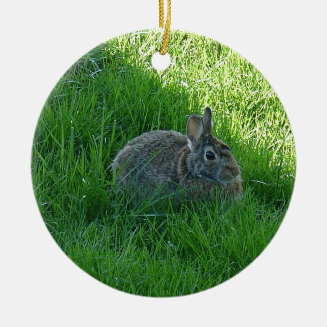 A Shady Bunny Julgransprydnad Keramik (Framsidan)