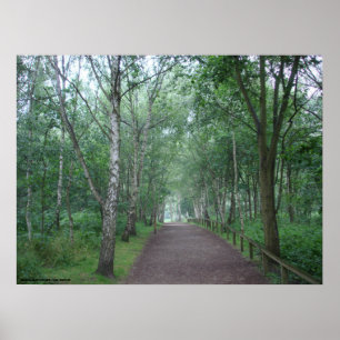 A Sherwood Forest Väg Poster