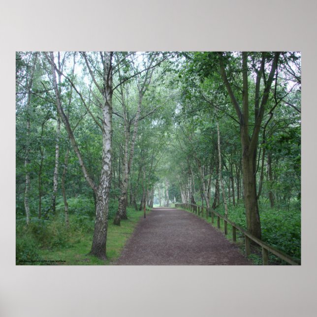 A Sherwood Forest Väg Poster (Framsidan)