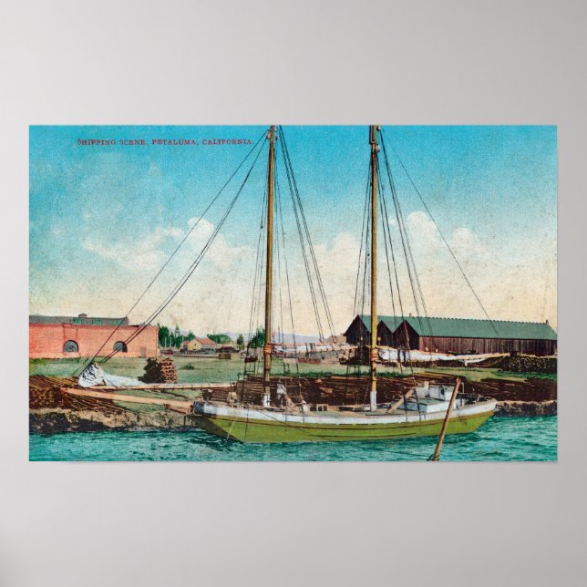 A Shipping Schooner ScenePetaluma, CA Poster (Framsidan)