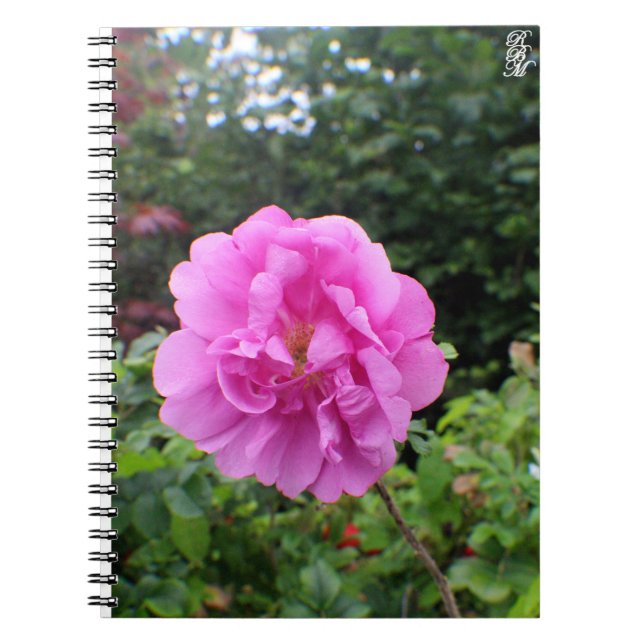 A Single Pink Flower Anteckningsbok (Framsidan)