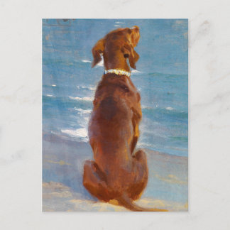 A sitting brown dog by P.S. Kroyer Vykort