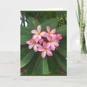 A *SPECIELL BIRTHDAY* FÖR EN *SPECIELL PERSON* KORT