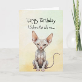 A Sphynx Cat Personality Birthday Roligt Animal Kort