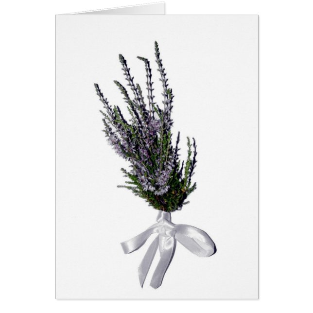 A Sprig of Heather från Skottland Hälsningskort (Framsidan)