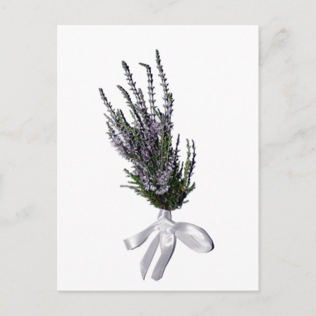 A Sprig of Heather från Skottland Vykort (Framsida)