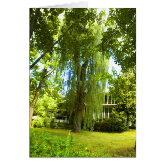 A Ställe bortom - Mystik nästan i sidokort Hälsningskort