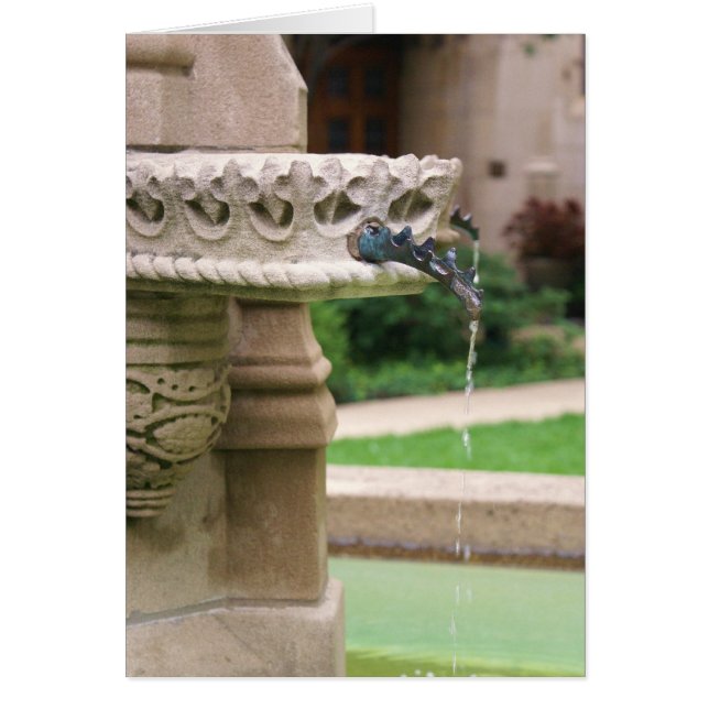 A Ställe i Sanctuary Hälsningskort (Framsidan)