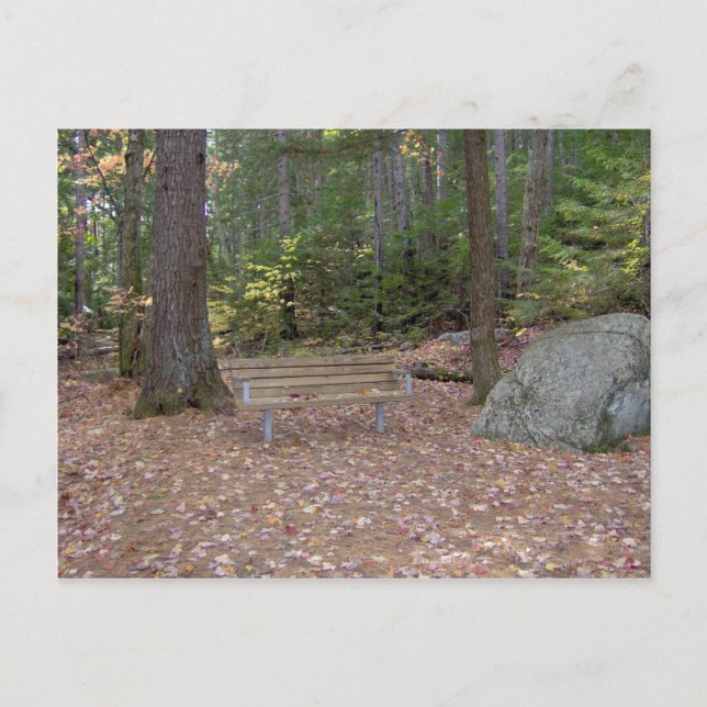 A Ställe till Tänka vykort (Framsida)