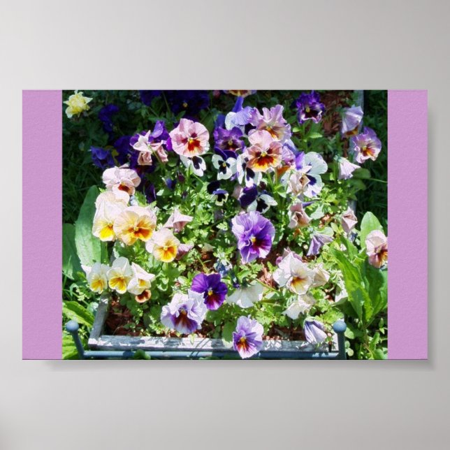 A STÄNK i FÄRG Poster (Framsidan)