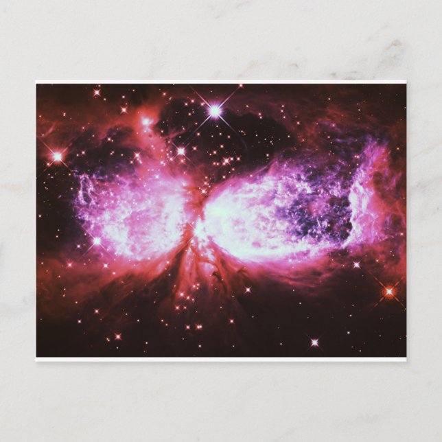 A Star är Born Mauve Vykort (Framsida)
