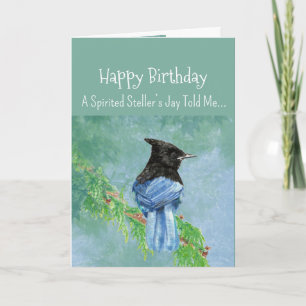 A Stellar Jay Personality Birthday Roligt Bird Kort
