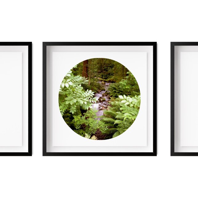 A Stream i en skog med fotografi av Ferns Poster (Skapare uppladdad)