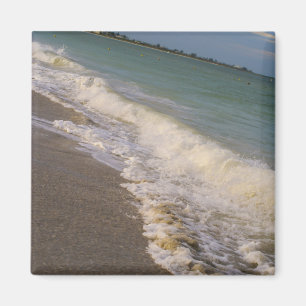 A Stroll Along St Pete Beach Magnet