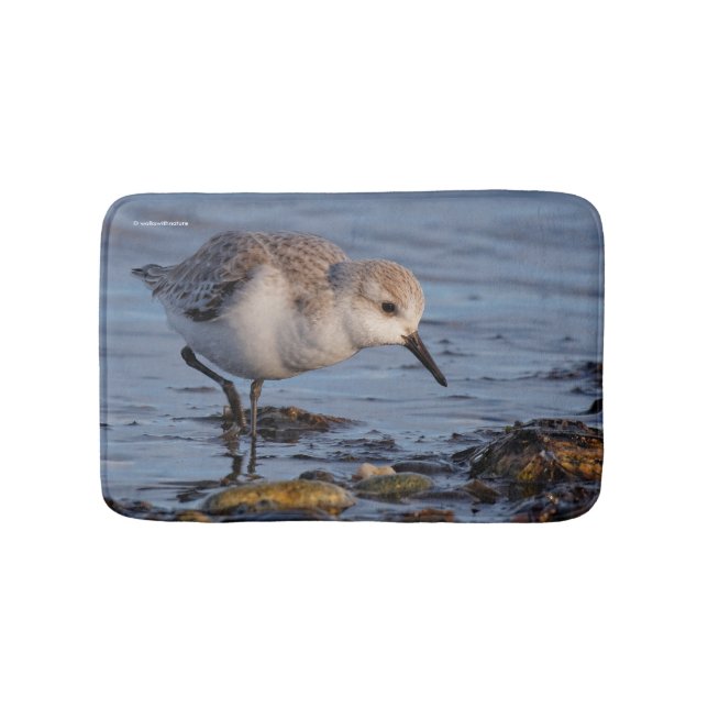 A Strullande Sanderling Badrumsmatta (Framsidan)