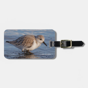 A Strullande Sanderling Bagagebricka