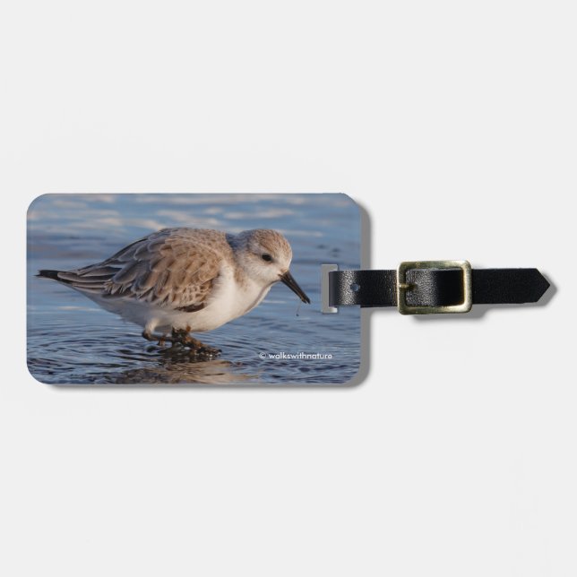 A Strullande Sanderling Bagagebricka (Horisontell Framsida)