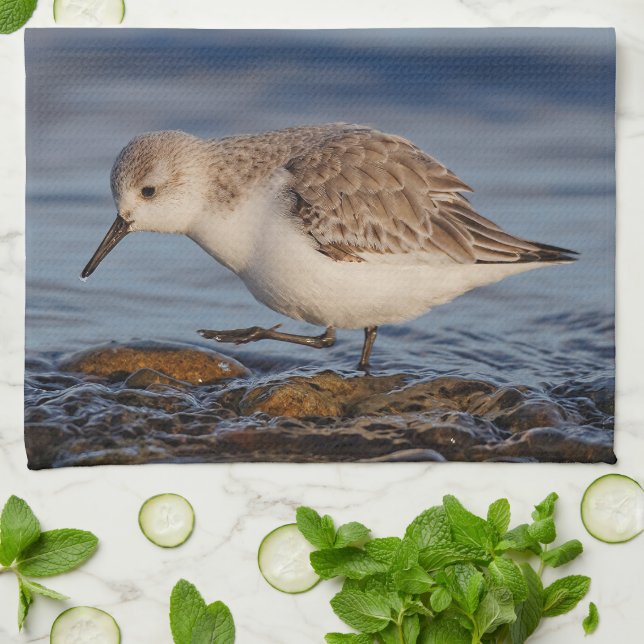 A Strullande Sanderling Kökshandduk (Vikta)