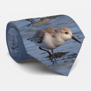 A Strullande Sanderling Slips