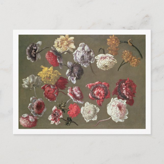 A Study of Peonies (oil on canvas) Vykort (Framsida)