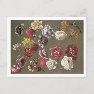 A Study of Peonies (oil on canvas) Vykort