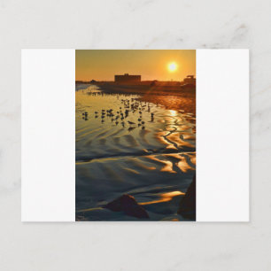 A Sunset in Port Aransas, Texas Vykort