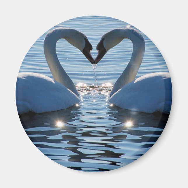 A Svan Heart Kiss, reflektioner från Kärlek Magnet (Framsidan)