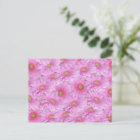 A Symphony of Rosa Gerberas