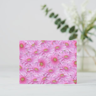 A Symphony of Rosa Gerberas Vykort