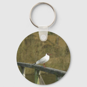 A tern - nyckelkedja nyckelring