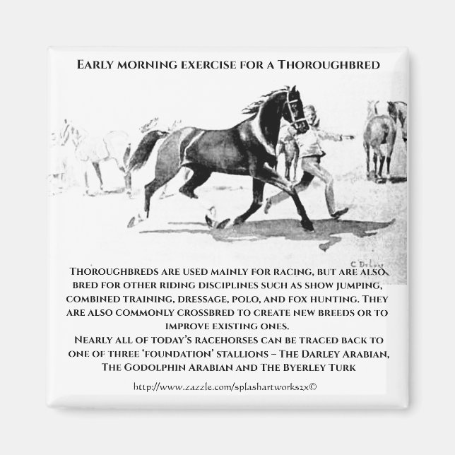 "A Thoroughavlade in Training" Magnet (Framsidan)