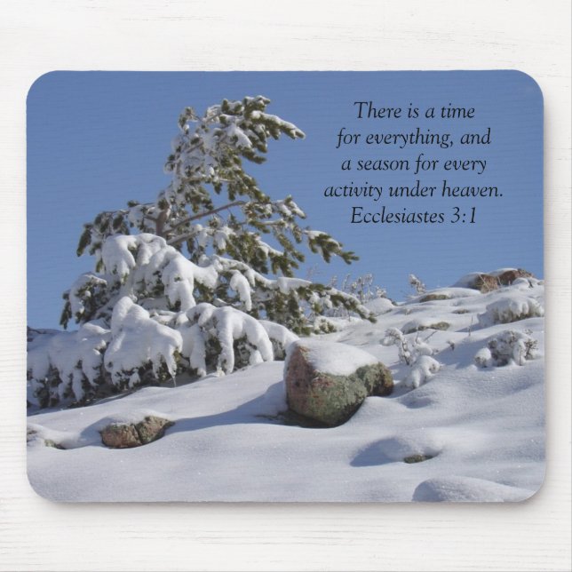 A Time and a Season Scenia Winter Musmatta (Framsidan)