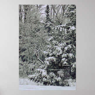 A Tiny Snowflake Dikt, Winter Scene Poster