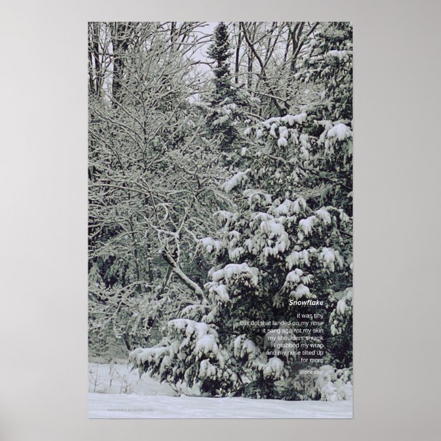 A Tiny Snowflake Dikt, Winter Scene Poster (Framsidan)