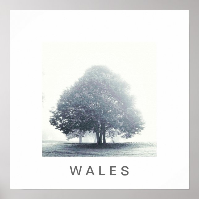 A Träd i Fog Poster (Framsidan)