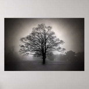 A Träd i Fog Poster