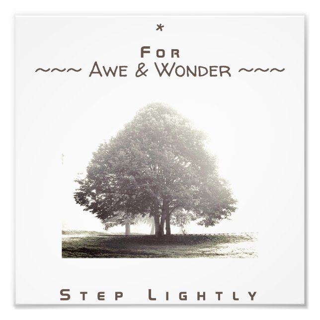 A Träd i Fog Poster med valfri text (Framsidan)