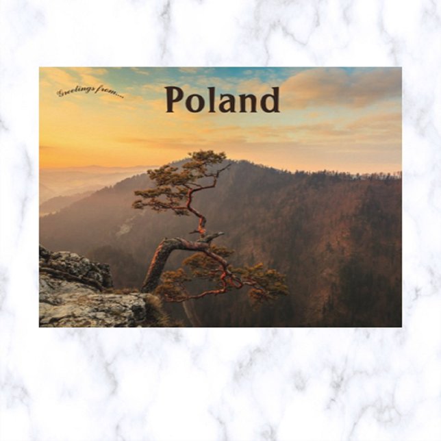 A Träd i Pieniny Poland Vykort (Skapare uppladdad)