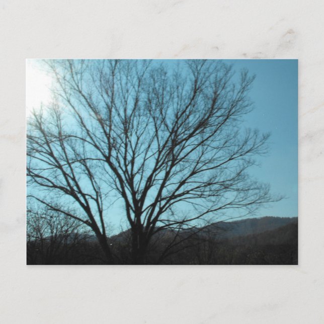 A Träd Vykort (Framsida)