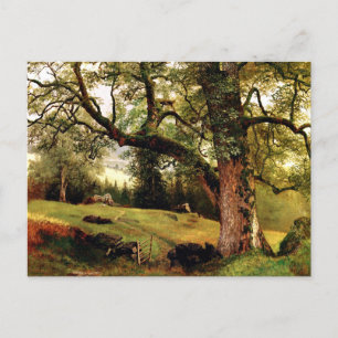 A Trail genom Träd av Albert Bierstadt Vykort