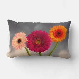 A Trio Gerberas Lumbar Cushion Lumbarkudde