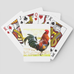 A TUPP CASINOKORT