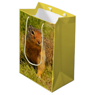 A Twitchy-Nposed Columbian Ground Squirrel