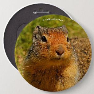 A Twitchy-Nposed Columbian Ground Squirrel Knapp