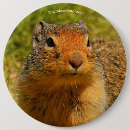 A Twitchy-Nposed Columbian Ground Squirrel Knapp