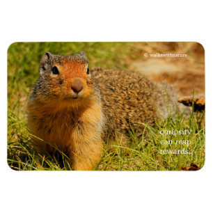 A Twitchy-Nposed Columbian Ground Squirrel Magnet